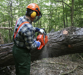 Forestry First Aid